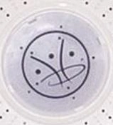 5535209 - Footplate 2024 - LOGO Lens Cover only